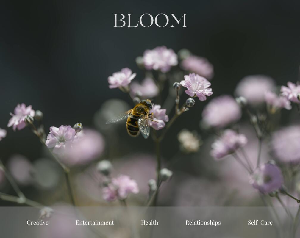 Bloom Lifestyle Blog Hero Image
