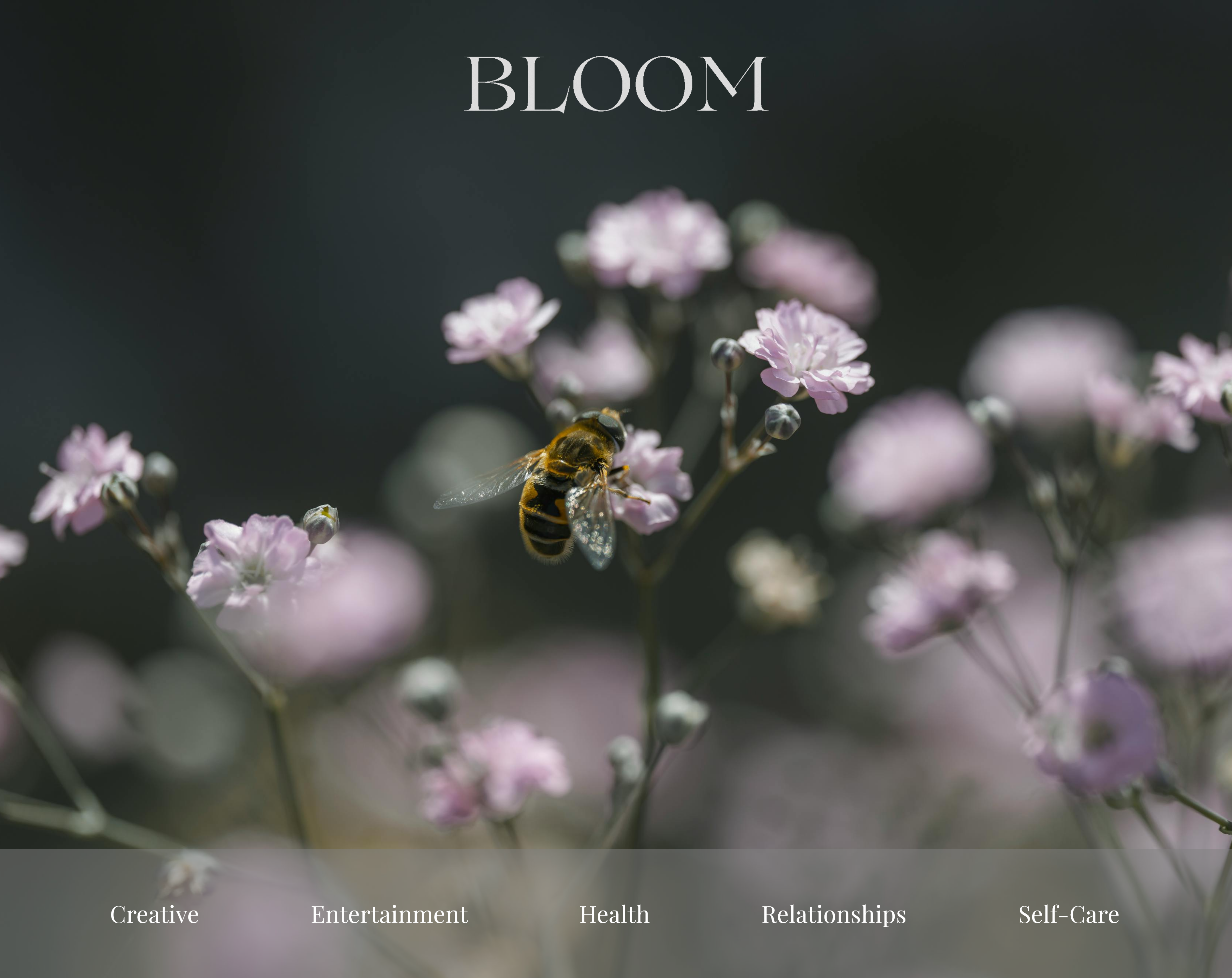 Bloom Lifestyle Blog Hero Section showing the responsive design