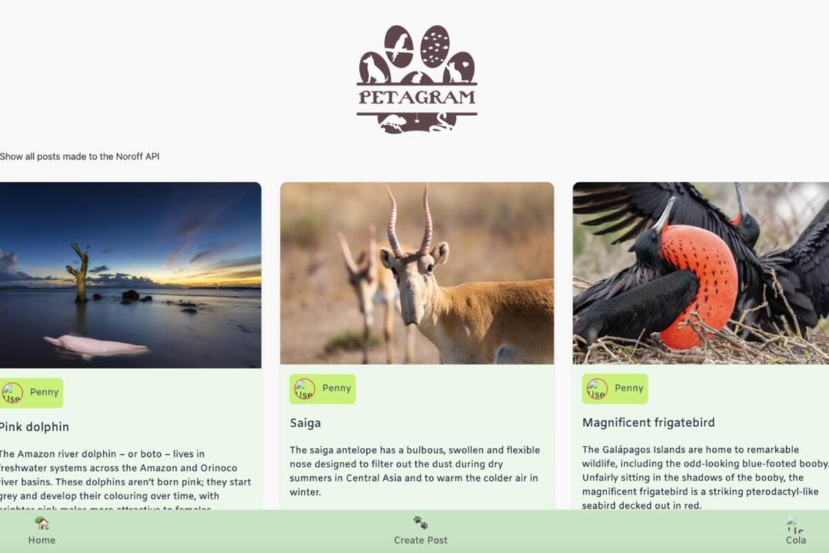 Petagram Social Media Hero Image